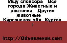 Ищу спонсора - Все города Животные и растения » Другие животные   . Курганская обл.,Курган г.